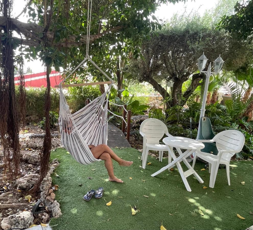 Suite Privada Frente A La Piscina Para 2 Personas Con Sofa Cama Para 2 Mas 4P No Es Casa Completa San Vicente Raspeig Kültér fotó