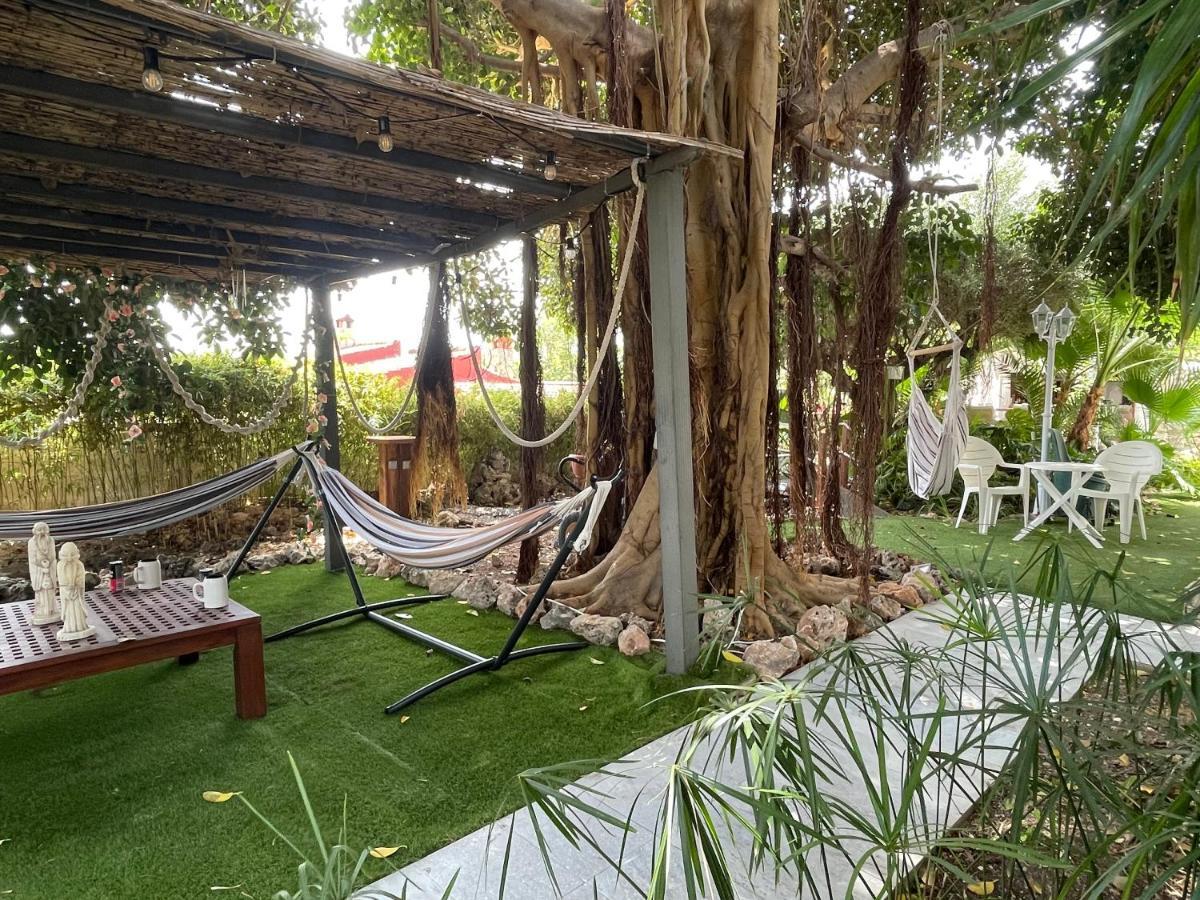 Suite Privada Frente A La Piscina Para 2 Personas Con Sofa Cama Para 2 Mas 4P No Es Casa Completa San Vicente Raspeig Kültér fotó